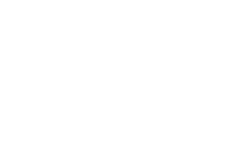 rooth 2-3-3